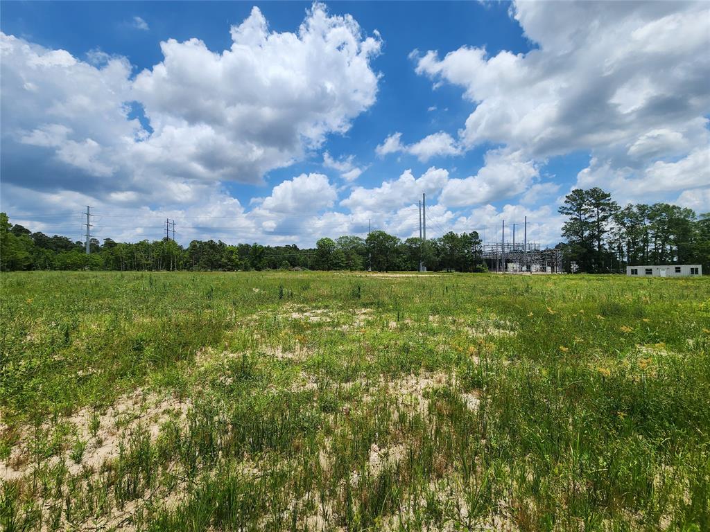 15027 Calhoun Road, Conroe, Texas image 3
