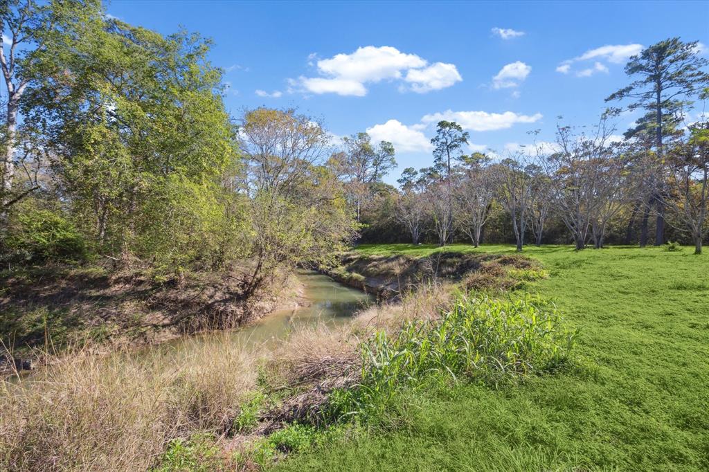 00 Myrtlewood Dr, Friendswood, Texas image 9