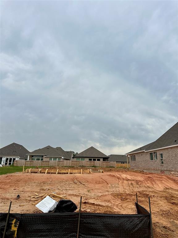 42615 Reminiscent Lane, Magnolia, Texas image 3