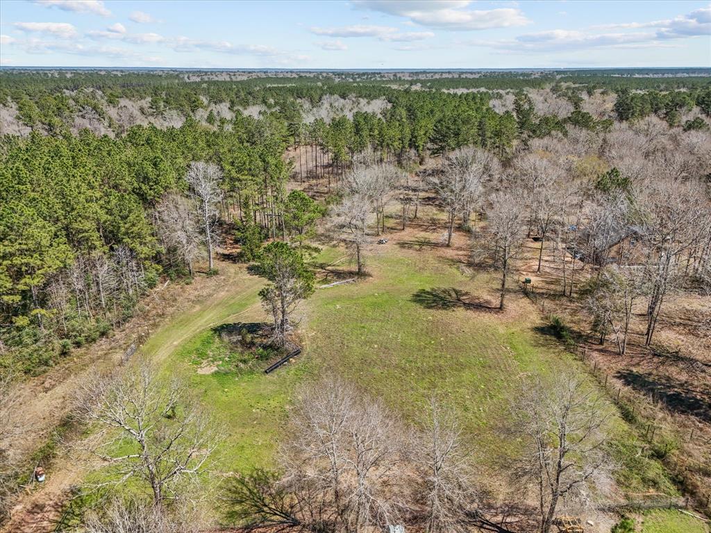 1151 County Line Road, Shepherd, Texas image 33