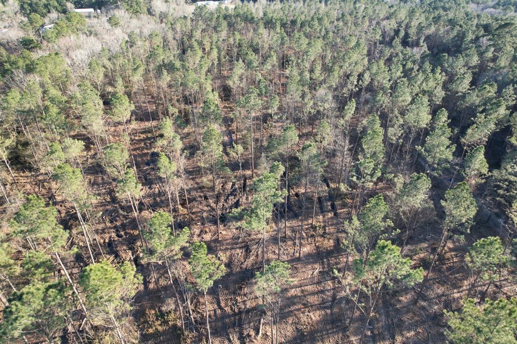 TBD County Road 430, Carthage, Texas image 3