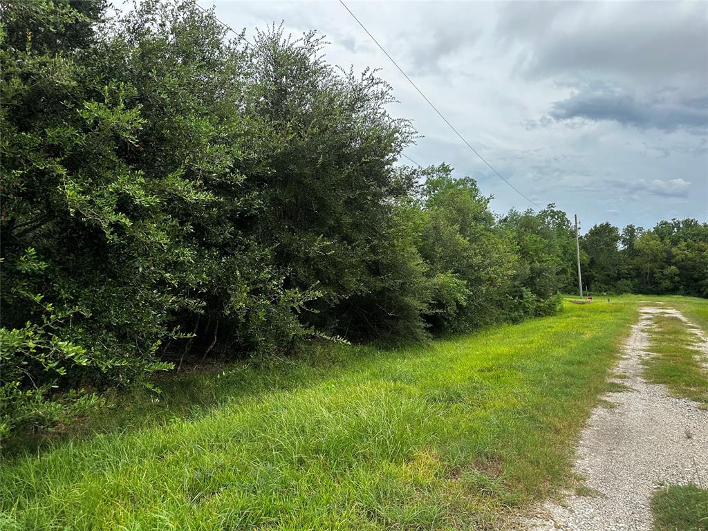 La Verne, Hitchcock, Texas image 3