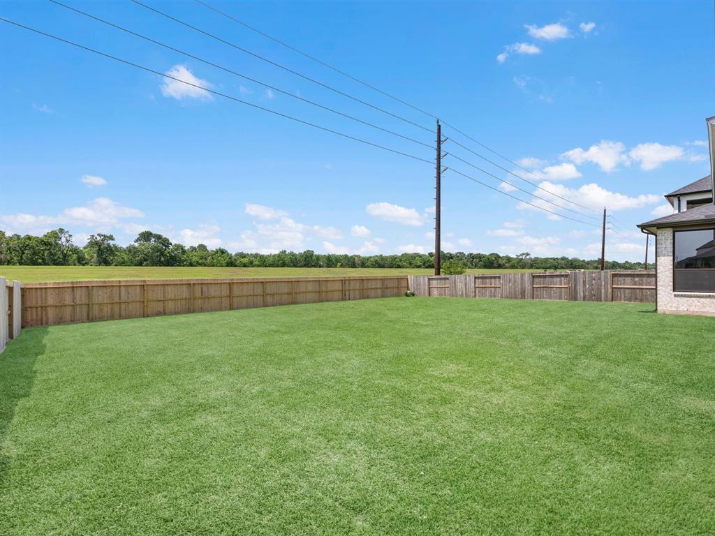 10114 Drifting Wind Lane, Missouri City, Texas image 29