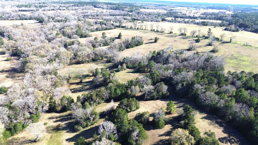 00 County Road 1725, Grapeland, Texas image 6