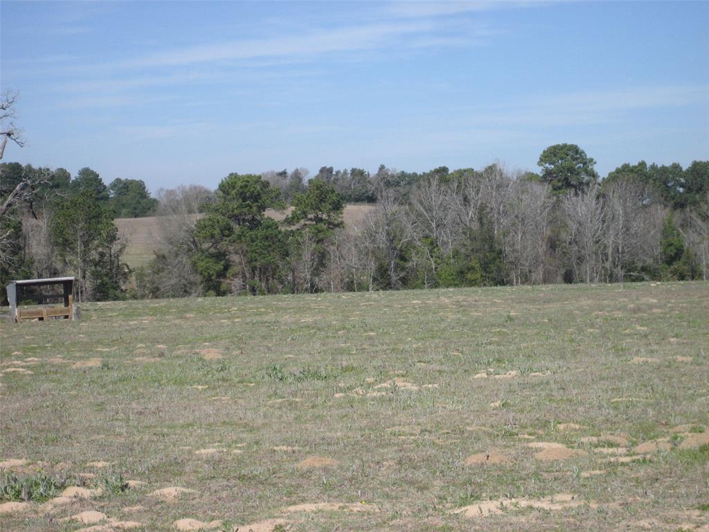 00 County Road 1725, Grapeland, Texas image 39