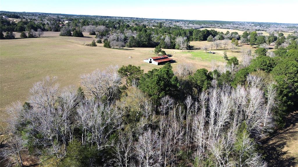 00 County Road 1725, Grapeland, Texas image 25