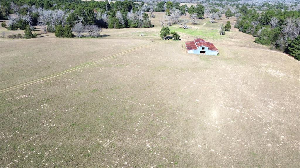 00 County Road 1725, Grapeland, Texas image 16