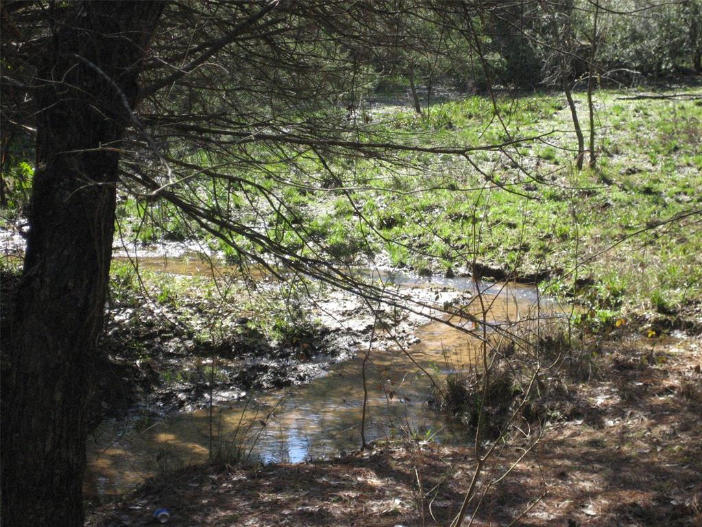 00 County Road 1725, Grapeland, Texas image 34