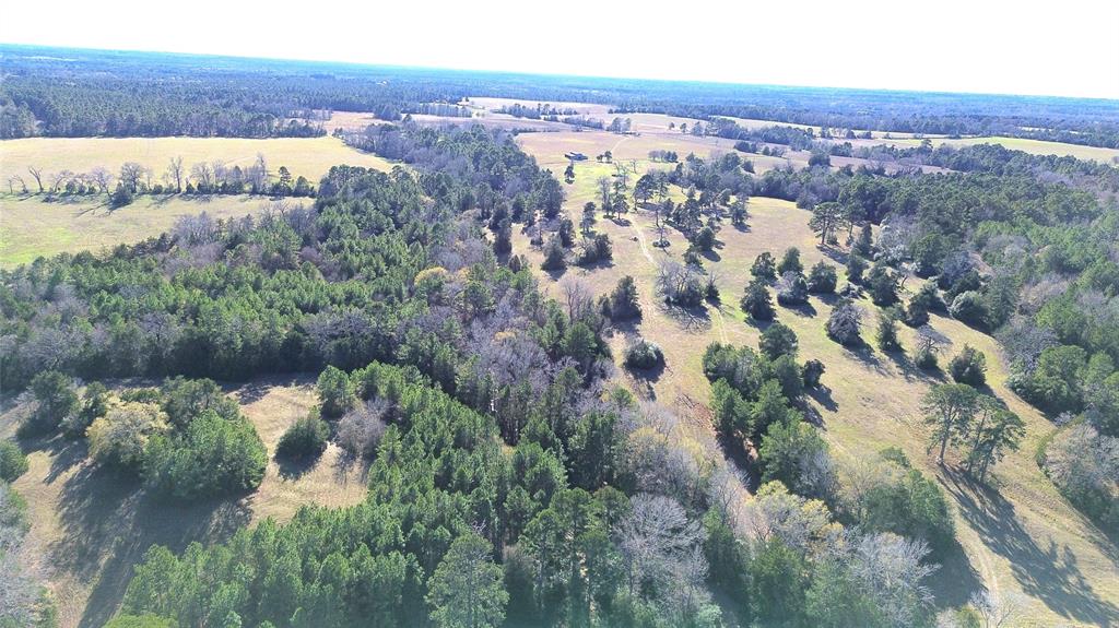 00 County Road 1725, Grapeland, Texas image 8