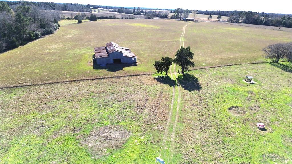 00 County Road 1725, Grapeland, Texas image 26