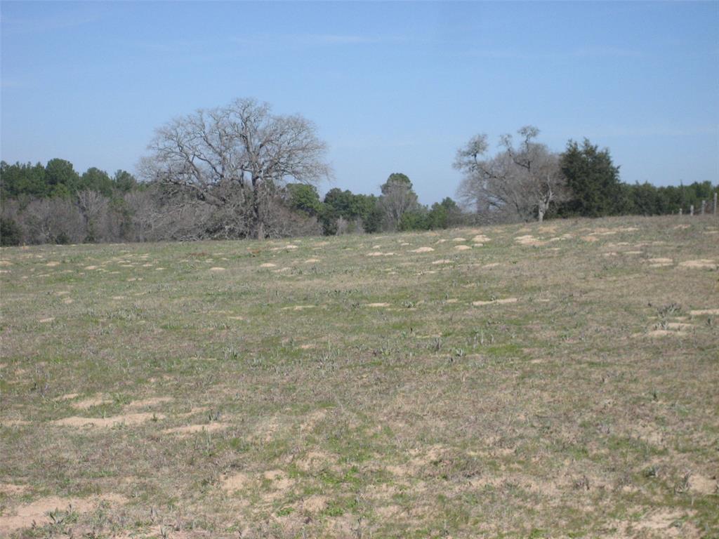 00 County Road 1725, Grapeland, Texas image 40