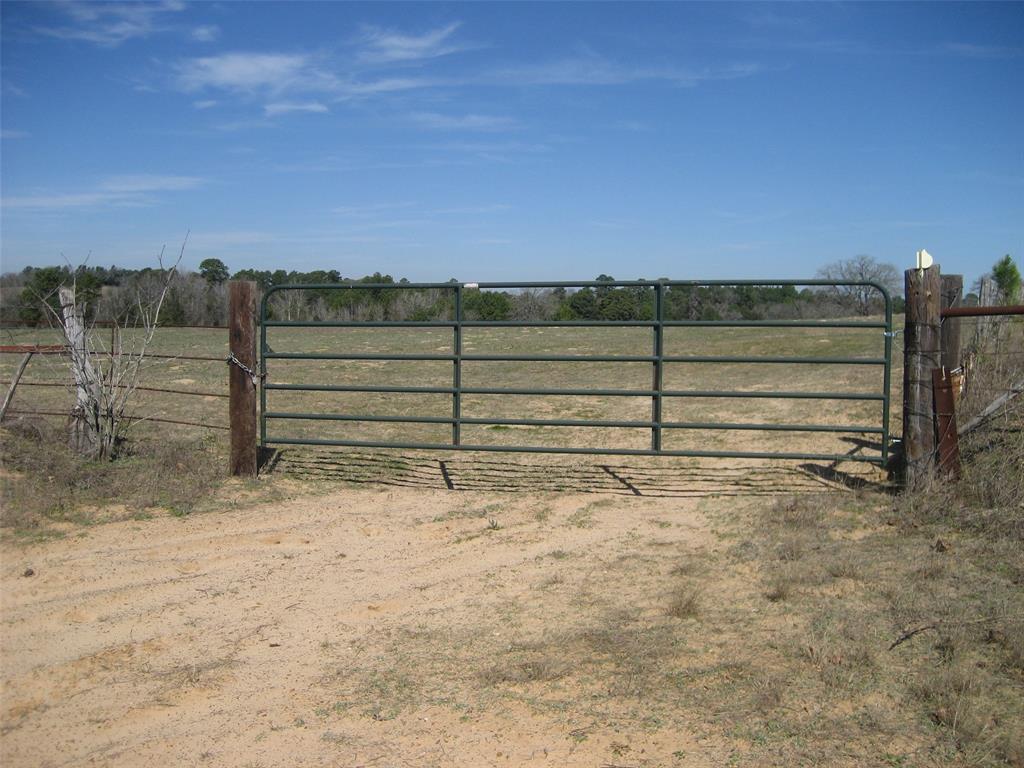 00 County Road 1725, Grapeland, Texas image 38