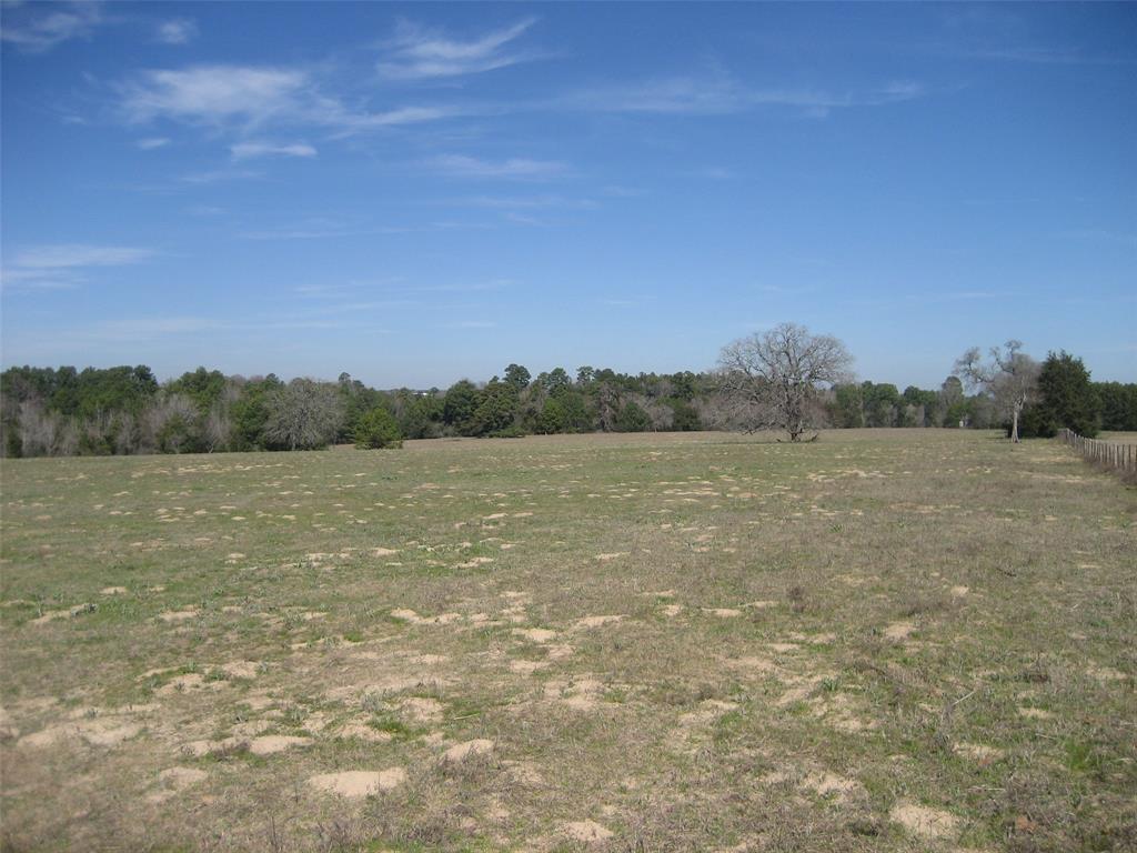 00 County Road 1725, Grapeland, Texas image 41