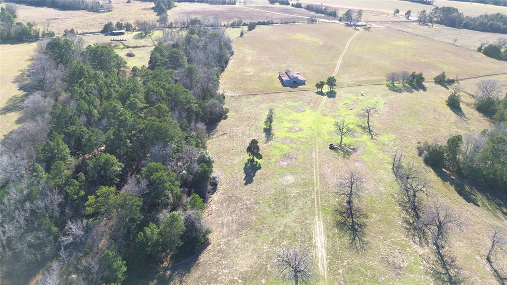 00 County Road 1725, Grapeland, Texas image 3