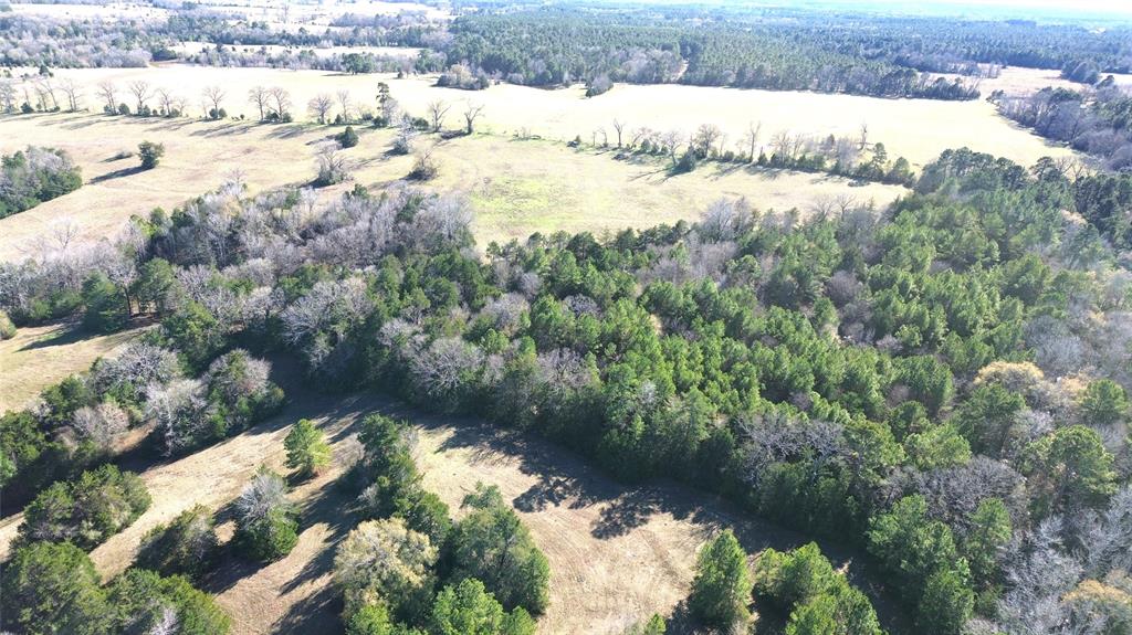 00 County Road 1725, Grapeland, Texas image 7