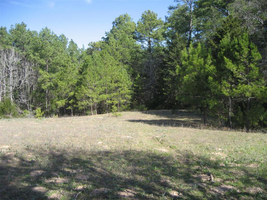 00 County Road 1725, Grapeland, Texas image 42