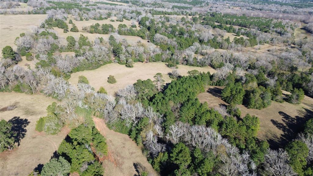 00 County Road 1725, Grapeland, Texas image 4