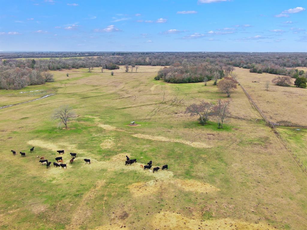 000 Pleasant Grove Road, North Zulch, Texas image 6