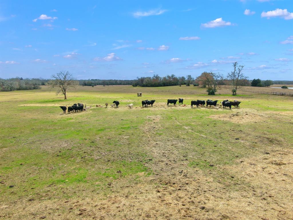 000 Pleasant Grove Road, North Zulch, Texas image 12