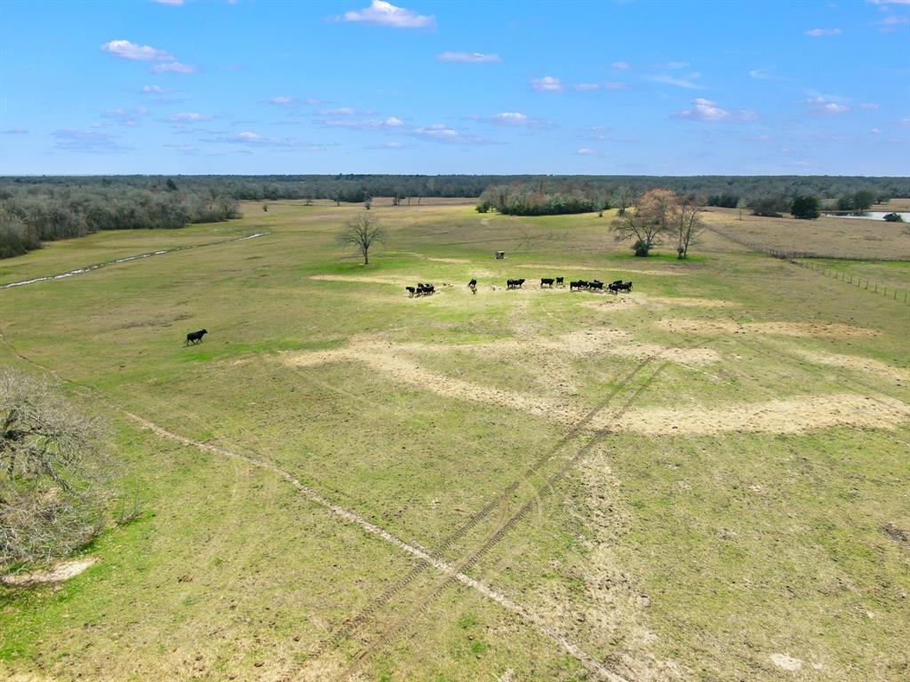 000 Pleasant Grove Road, North Zulch, Texas image 11