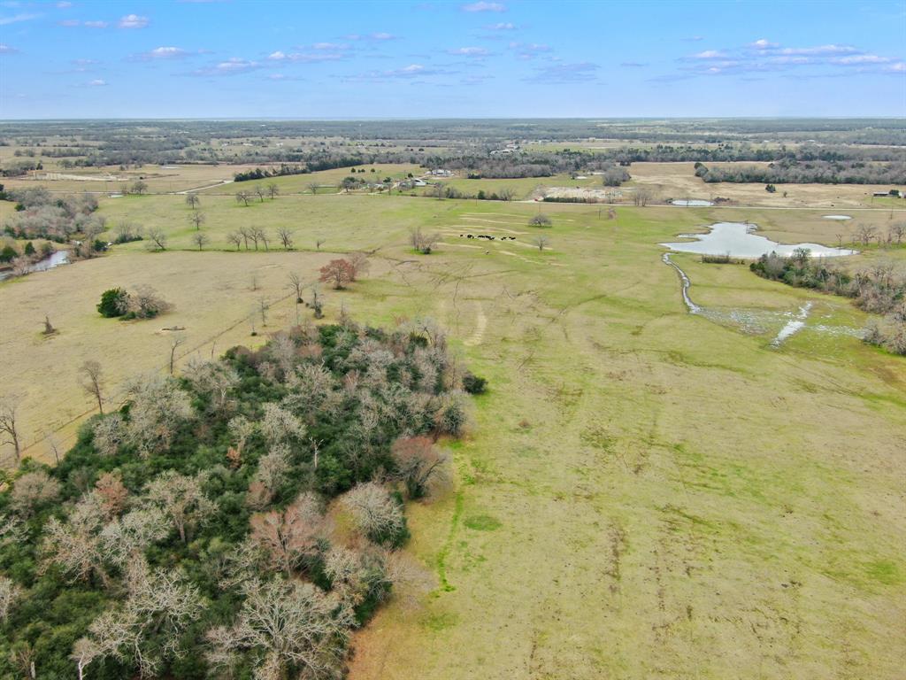 000 Pleasant Grove Road, North Zulch, Texas image 4