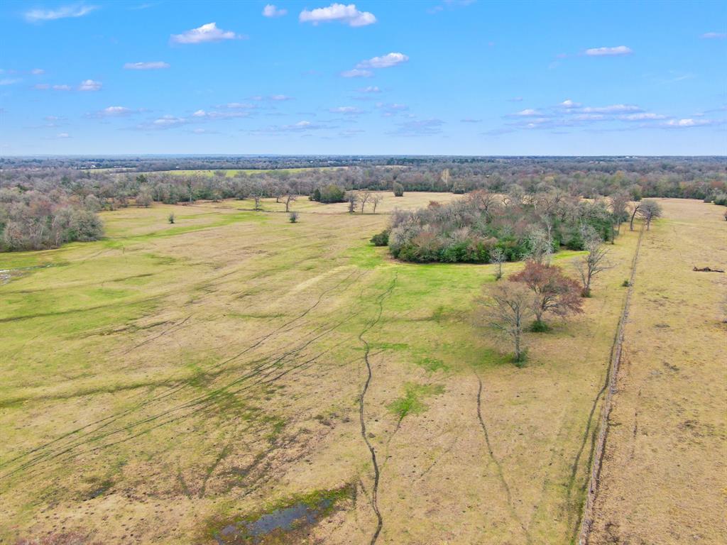 000 Pleasant Grove Road, North Zulch, Texas image 16