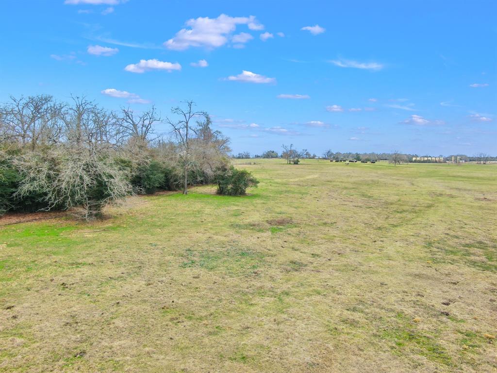 000 Pleasant Grove Road, North Zulch, Texas image 14