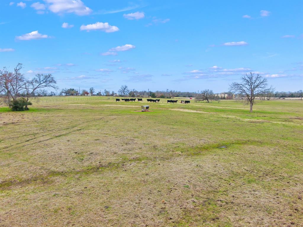 000 Pleasant Grove Road, North Zulch, Texas image 15