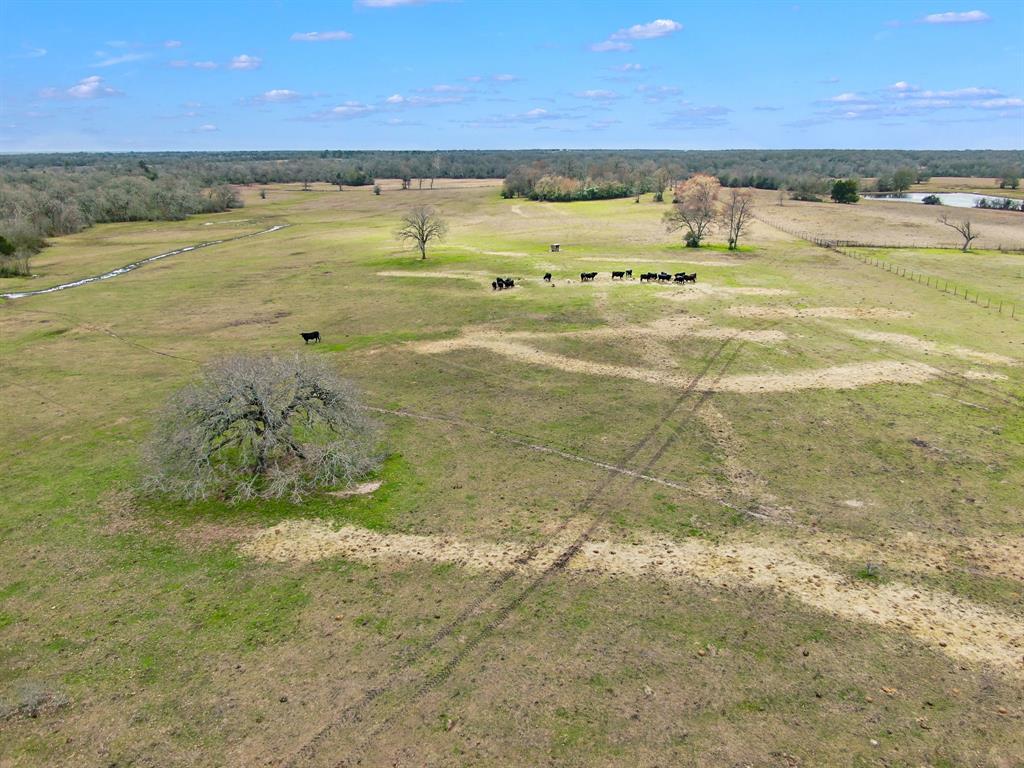 000 Pleasant Grove Road, North Zulch, Texas image 10