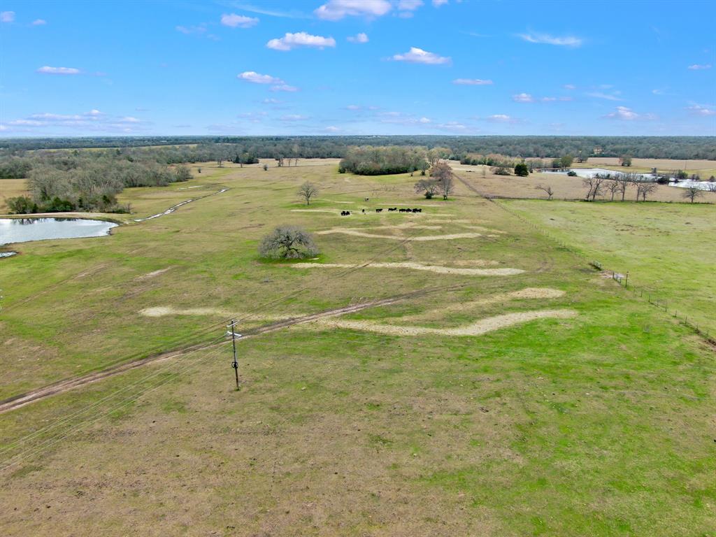 000 Pleasant Grove Road, North Zulch, Texas image 9