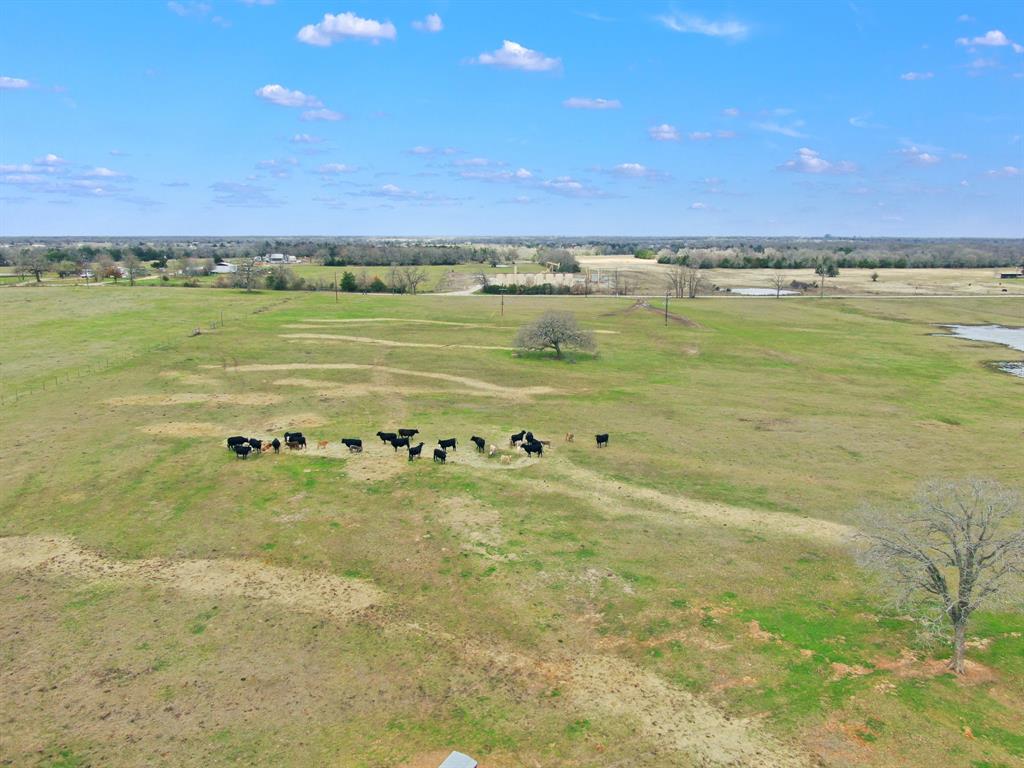 000 Pleasant Grove Road, North Zulch, Texas image 13