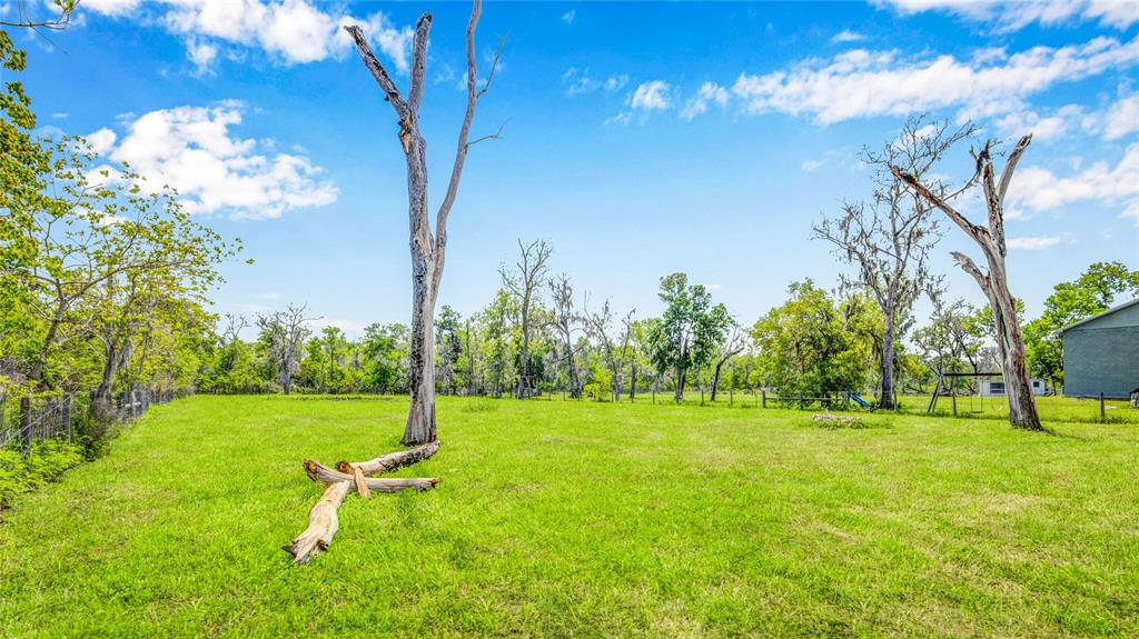 3979 County Road 651, Brazoria, Texas image 50