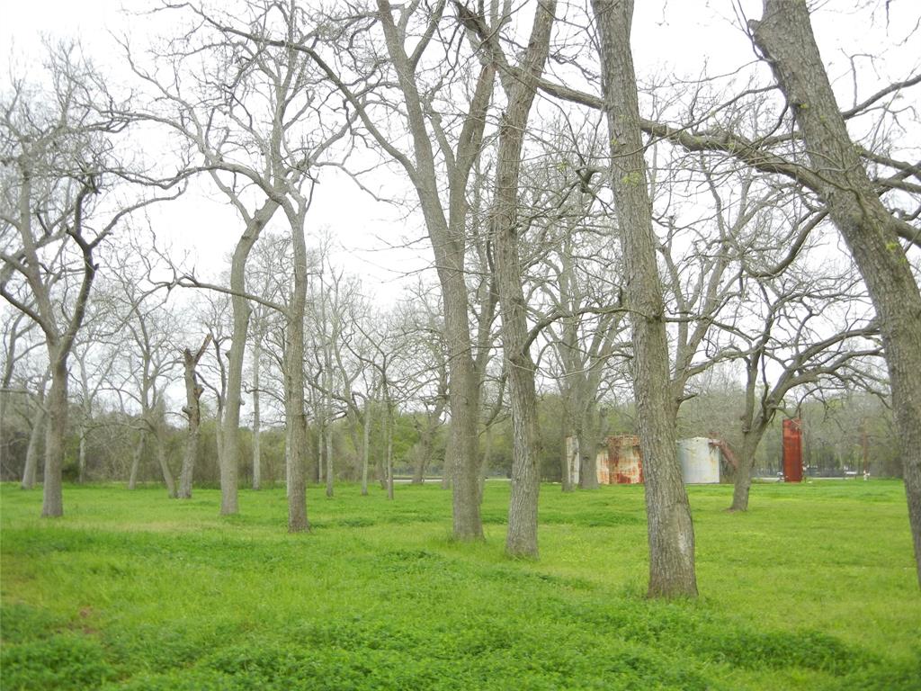 1645 Peach Ridge Road, Brookshire, Texas image 39