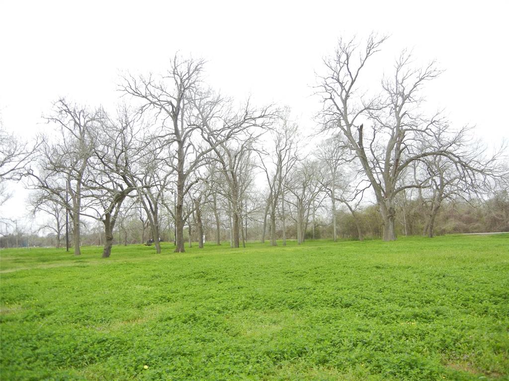 1645 Peach Ridge Road, Brookshire, Texas image 26