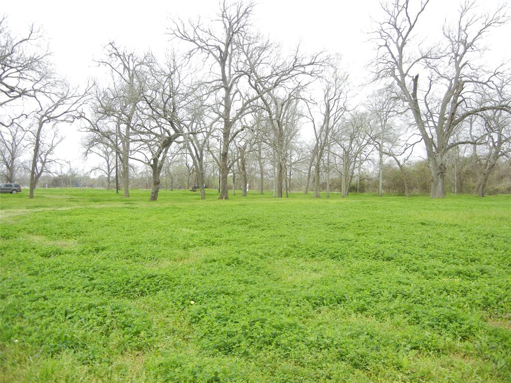 1645 Peach Ridge Road, Brookshire, Texas image 25