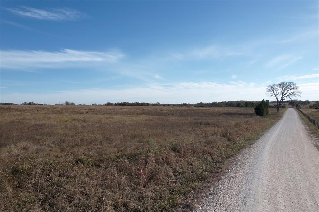 Caney Creek Rd, Chappell Hill, Texas image 14