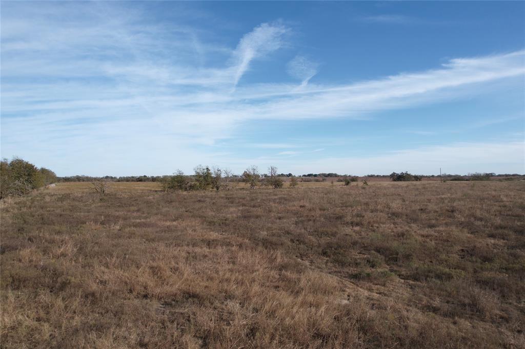 Caney Creek Rd, Chappell Hill, Texas image 8