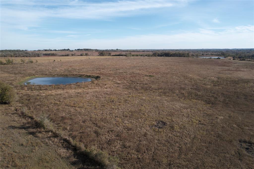 Caney Creek Rd, Chappell Hill, Texas image 12