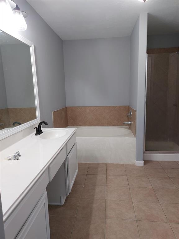 25027 Galium Meadows, Tomball, Texas image 10