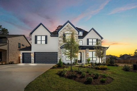 411 Venado View Court Conroe TX 77304