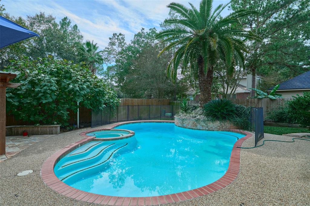 26 E Sterling Pond Circle, The Woodlands, Texas image 3