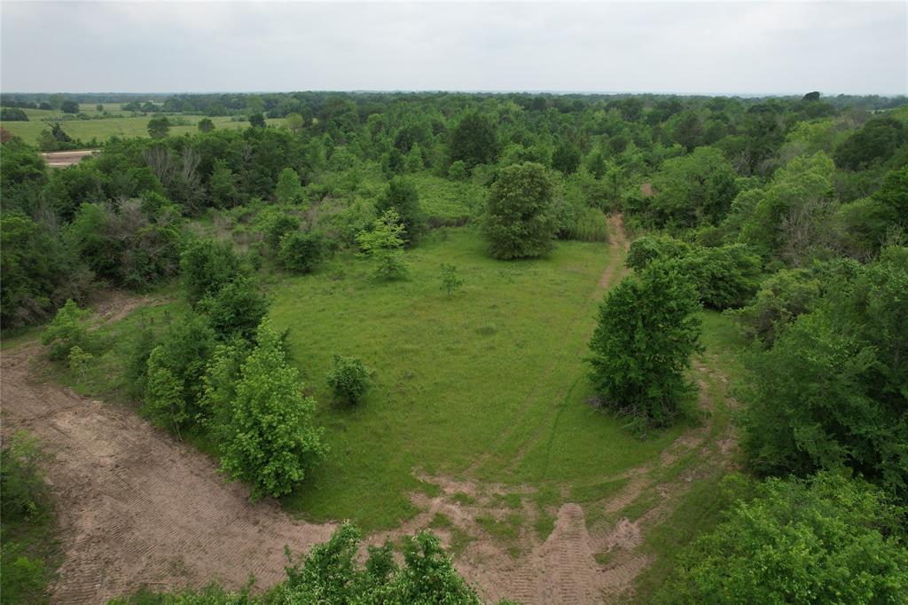 TBD County Road 3470, Lovelady, Texas image 30