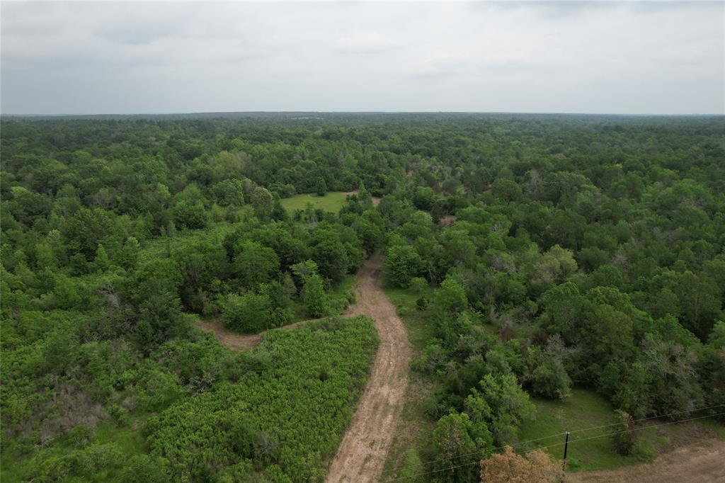 TBD County Road 3470, Lovelady, Texas image 24