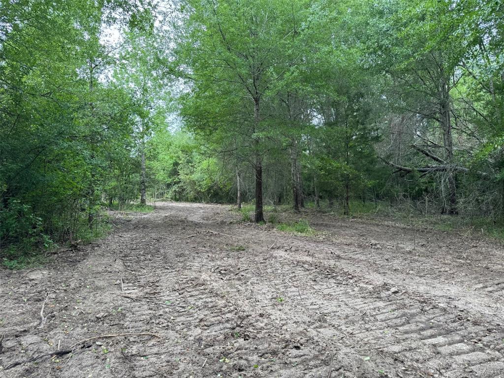 TBD County Road 3470, Lovelady, Texas image 34