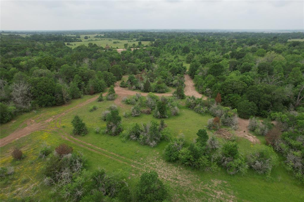 TBD County Road 3470, Lovelady, Texas image 18