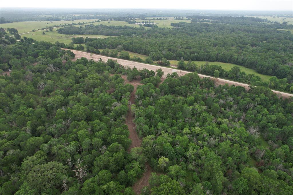 TBD County Road 3470, Lovelady, Texas image 3