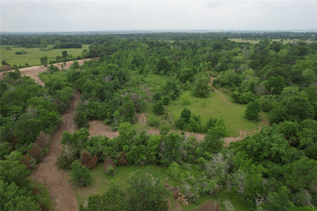 TBD County Road 3470, Lovelady, Texas image 26