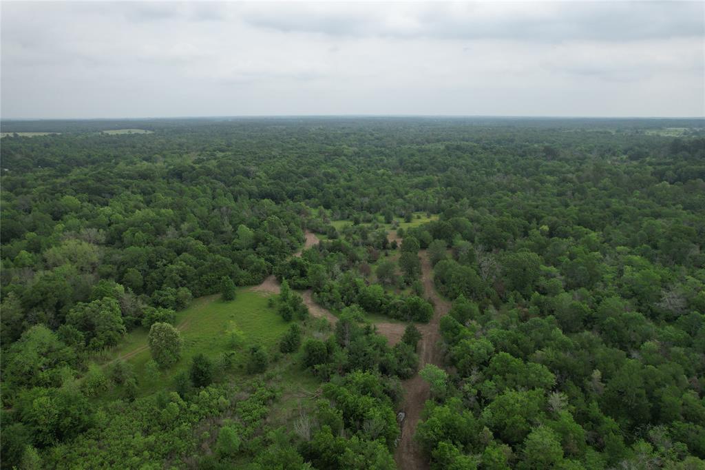 TBD County Road 3470, Lovelady, Texas image 25