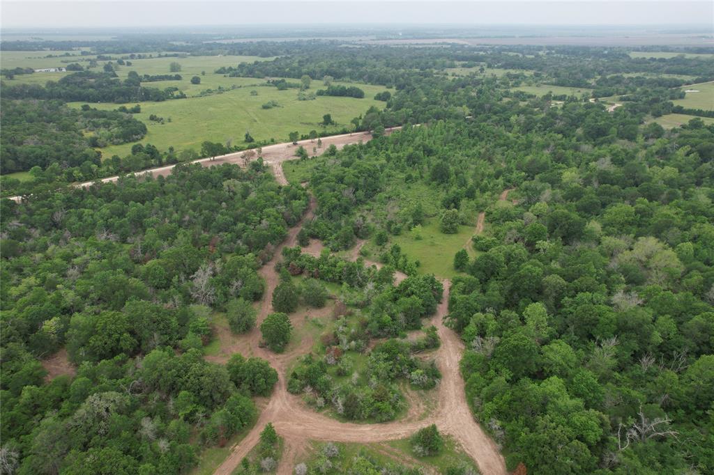 TBD County Road 3470, Lovelady, Texas image 17