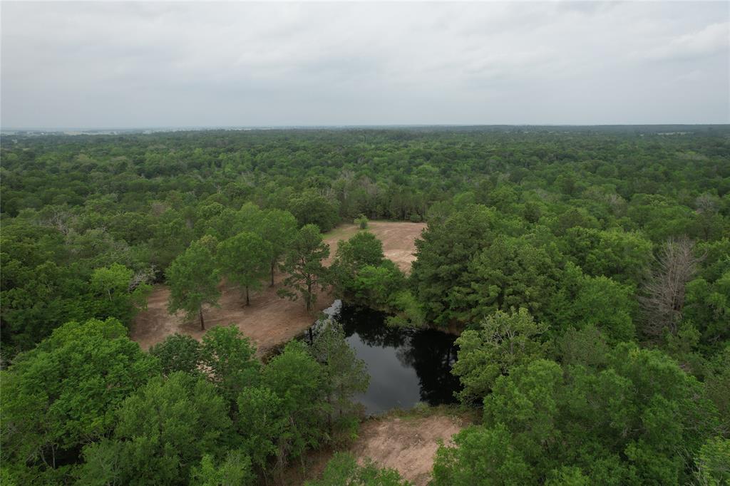 TBD County Road 3470, Lovelady, Texas image 5